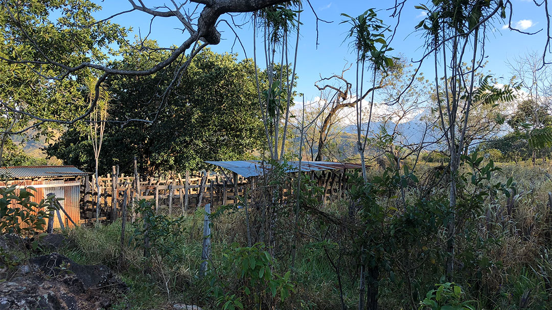 Alegria Village Costa Rica land cattle pen